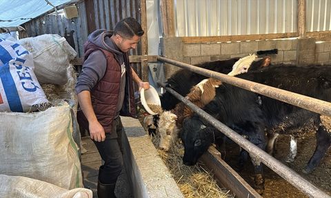 Köyde Hayvancılığa Geçiş: Abdullah Kamçıcı'nın Hikayesi