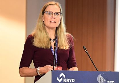 Küresel Risk Yönetimi Üzerine Uyarılar