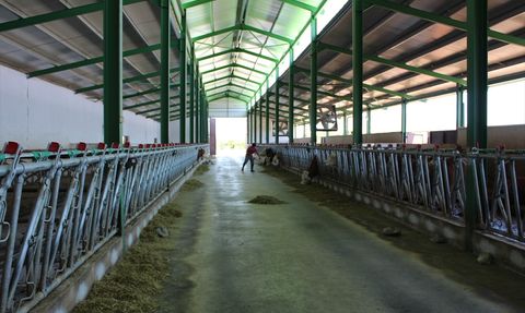 Nevşehir'e 1 Milyar Lira Destekle Tarım ve Turizm Gelişiyor