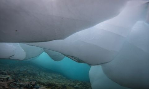 Türk Bilim İnsanlarından Antarktika'da Su Ekosistemlerine Dair Önemli Araştırmalar