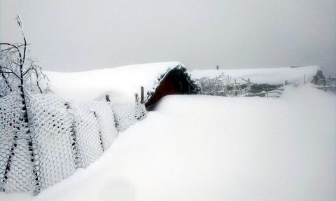 Amasya'nın Yüksek Kesimlerine Kar Yağışı