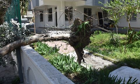 Antalya'da Kuvvetli Rüzgarın Olumsuz Etkileri