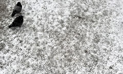 Ardahan-Şavşat Kara Yolu, Kar Sebebiyle Tır Geçişine Kapatıldı