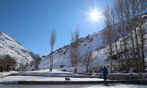 Bayburt'ta Alabalık Üretiminin Zorlu Süreci