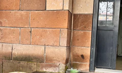 Bitlis'te Yasa Dışı Keklik Avına Ceza