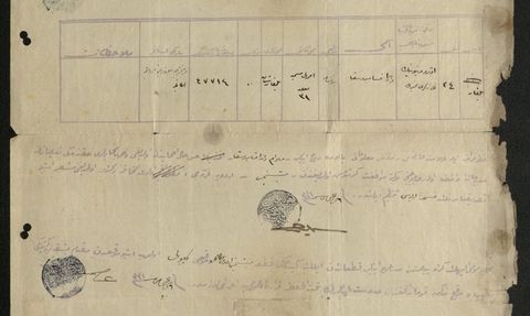 Çanakkale Savaşları'nın Tek Kadın Gazetecisi: Wanda Zembruska