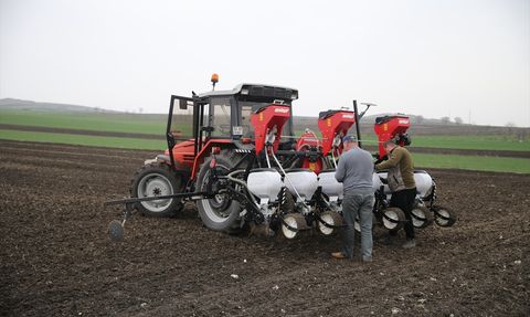 Edirne'de Ayçiçeği Üreticileri İçin Erken Ekim Önerisi