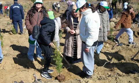 Ege Bölgesi'nde Fidan Dikim Etkinlikleri