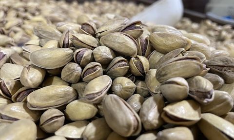 Fıstık Üretiminde Tarihi Rekor: 383 Bin Ton