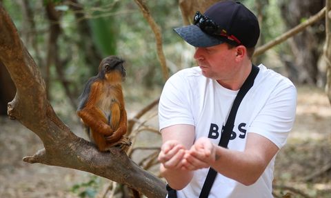 Gambiya'daki Bijilo Orman Parkı: Doğanın Kalbinde Eşsiz Bir Deneyim