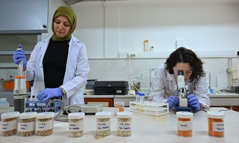 Gıda Güvenliğinde Işınlama Uygulamaları ile Yeni Bir Dönem