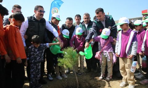 Hatay'da 1000 Fıstık Çamı Fidanı Dikildi