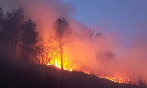Hatay'daki Orman Yangını Kontrol Altına Alındı