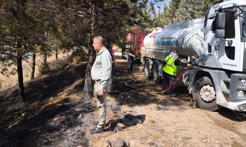 Hatay'daki Orman Yangını Kontrol Altında