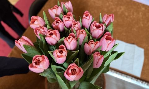 Hollanda'da Kızılırmak Lalesi İsimlendirme Töreni