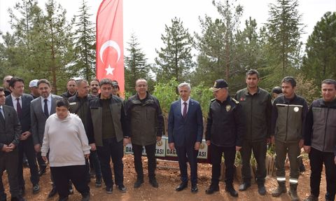 Kahramanmaraş'ta 4 Bin Kızılçam Fidanı Dikildi