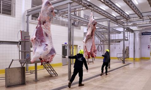 Kocaeli'nin Mezbahalarında Ramazan Yoğunluğu Arttı