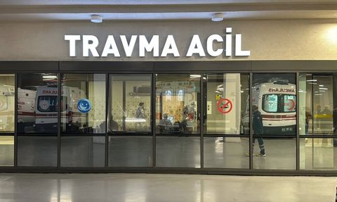 Kuzey Makedonya Yangınında Yaralananlar İstanbul'a Getirildi