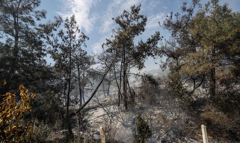 Mersin'de Tarım Arazisinde Yangın Kontrol Altına Alındı