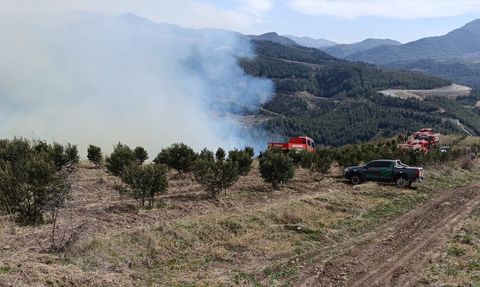 Osmaniye'de örtü yangını kontrol altına alındı