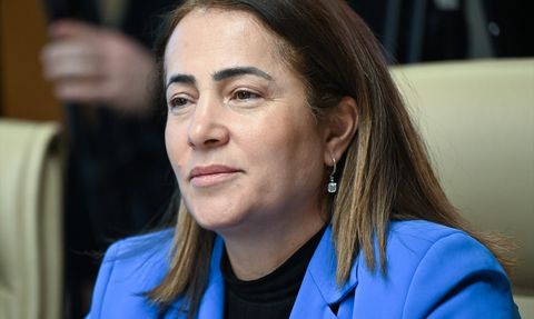 TBMM'den Bebek Ölüm Oranları ve Özel Sağlık Kuruluşları Üzerine Kritik Toplantı