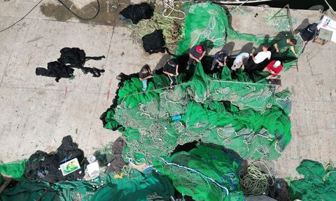 Tekirdağlı Balıkçılar Müsilaj Nedeniyle Avlanmaya Ara Verdi