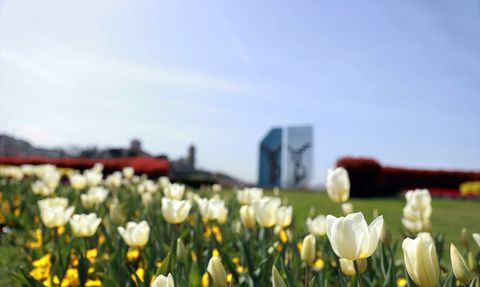 Trabzon İlkbahar ile Canlanıyor