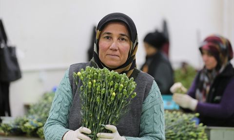 Türkiye'den Dünya Kadınlar Günü'ne Özel 75 Milyon Dal Çiçek