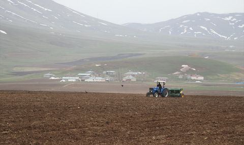 Ağrı Ovası'nda Ekim Zamanı