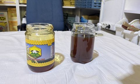 Artvin Arı Yetiştiricileri Birliği'nden Sahte Bal Uyarısı