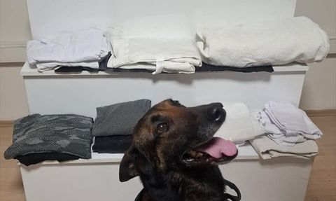 Balıkesir'de Uyuşturucu Operasyonu: 6 Kilo 887 Gram Ele Geçirildi