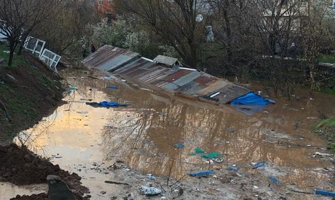 Bingöl'de Sağanak Hayvanları Telef Etti