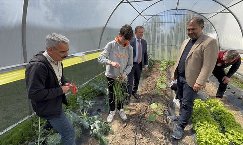 Bodrum'da Okuldaki Çiftlik Projesi ile Hasat Sevinci