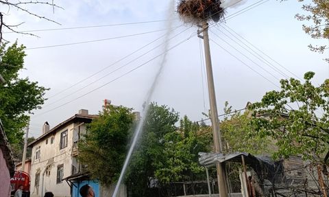 Çorum'da Leylek Yuvası Yangınında Kullanılamaz Hale Geldi