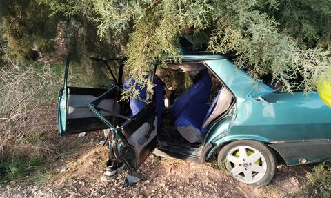 Gaziantep'te Ağaca Çarpan Otomobilde İki Yaralı