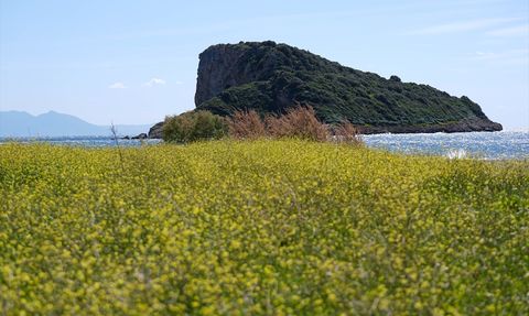İzmir'in Doğal Cenneti: Çıfıt Adası