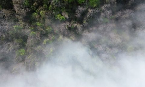 Karadeniz Sahilinde Etkileyici Sis Manzarası