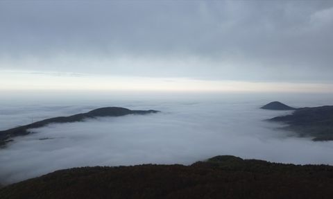 Kastamonu'da Sisle Kaplı Büyüleyici Orman Manzaraları