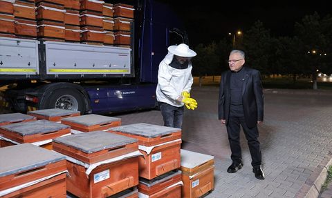 Kayseri'de Arıcılığa Destek: 600 Arılı Kovan Dağıtıldı