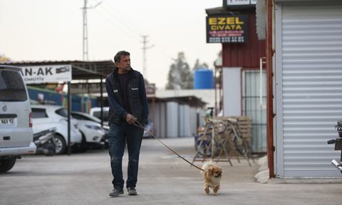 Köpeği 'Fındık'la Deprem Sonrası Hayata Dönen Esnaf