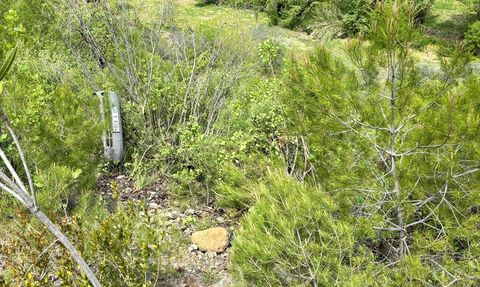 Muğla'da Kayıp Muhtarın Cesedi Uçurumda Bulundu