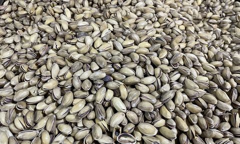 Şanlıurfa'da Lisanslı Fıstık Deposu İnşa Ediliyor