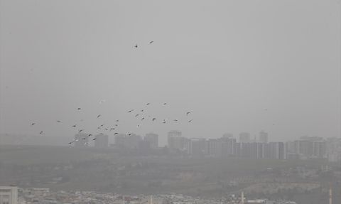 Şanlıurfa'da Toz Taşınımı Hayatı Olumsuz Etkiliyor
