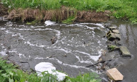 Saranlı Deresi'nde Kirlilik Sorunu