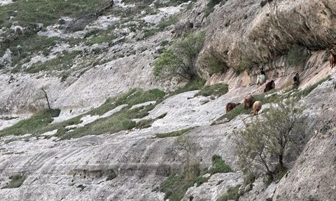 Siirt'te Kayalıklarda Mahsur Kalan Çoban Kurtarıldı