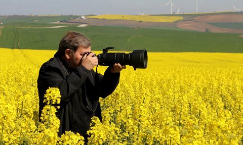 Tekirdağ'da Kanola Tarlaları: Doğanın Sarı Stüdyosu