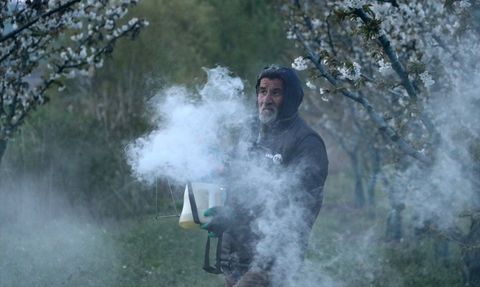 Tekirdağ'da Üreticiler Zirai Don Tehdidine Karşı Nöbet Tutuyor