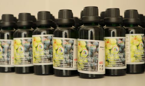 Tekirdağ'da Üzüm Çekirdekleri Ekonomiye Kazandırılıyor