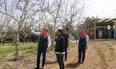 Trakya'da Zirai Don Hasarı Tespiti Devam Ediyor