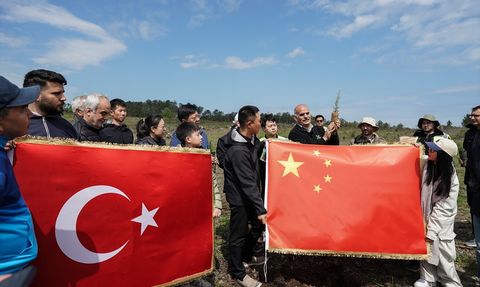 Türkiye-Çin İlişkileri İçin 10 Bin Fidan Dikildi